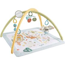 Bild für Fisher-Price® Simply Senses Spieldecke mit Spielbogen