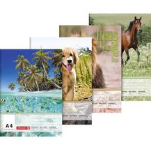 Bild für Brunnen Zeichenblock A4 20 Blatt