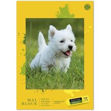 Bild für Edition Dürer Malblock geleimt A4 100 Blatt 70 gqm sortiert