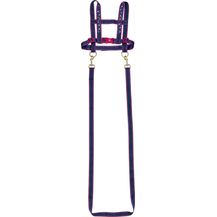 Bild für Die Spiegelburg 14389 Pferdefreunde