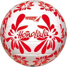 Bild für Volleyball