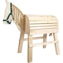 Bild für Reit und Voltigierpferd