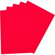 Bild für folia 23520