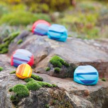 Bild für Geschicklichkeitsspiel Boccia