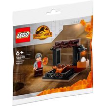 Bild für LEGO Jurassic Wolrd 30390 'Dinosaurier-Markt'
