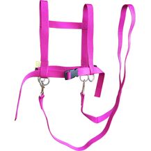 Bild für Der Zügelmatz Pferdespielleine