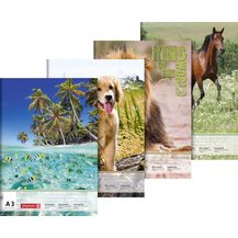 Bild für BRUNNEN 1047913 Zeichenblock