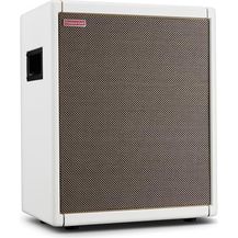 Bild für Positive Grid Spark CAB