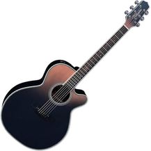 Bild für Takamine LTD 2024