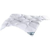 f.a.n. Kansas – Steppbett aus 100% Microfaser, kochfest und trocknergeeignet, auch für Allergiker, Ausführung: Steppbett, Größe: 200 x 220 cm