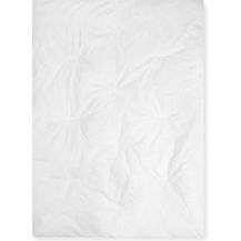 Bild für Julius Zöllner Ganzjahresdecke Halbdaune 100x135