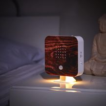 Bild für Northpoint LED Dekolicht Naturgeräuschebox Vogelzwitscher Bewegungsmelder Licht Aufladbar