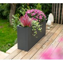 Bild für Westmann Metall Pflanzkübel Talus L 