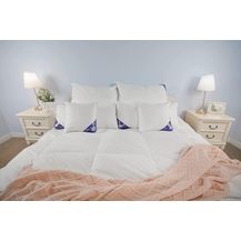 Bild für Welt der Träume Daunenbettdecke Decke Bettdecke Schlafdecke Daunendecke Winterdecke 135 x 200 1600 Gr