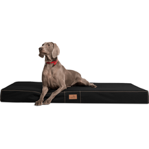 Bild für HUGO Orthopädische Hundematratze