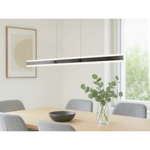 Bild für LED Pendelleuchte ARCOLA stufenlos höhenverstellbar Silber