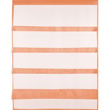 Bild für Transparente Bistrogardine Raffoptik mit Stangendurchzug in Voile, schlicht und modern in vielen verschiedenen Farben erhältlich (80 x 110 cm / apricot