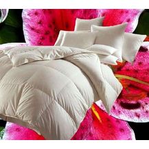 Bild für Betten Hofmann Canada Kassetten Daunenbett 4x6 155x220 1200 g Daunendecke 100% neue Daunen