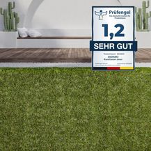 Bild für andiamo Kunstrasen Jever