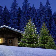 Bild für FHS Baumvorhang 480 LED 15 Stränge je 32 LED