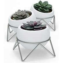 Bild für Umbra Potsy Tischvase