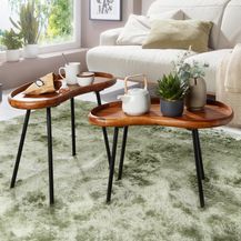 Bild für Beistelltisch Set FB52620 Sheesham Massiv Satztisch Nierenform mit Metallbeinen