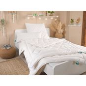 Baumwoll Ganzjahres/Übergangs Bettdecke - f.a.n. kbA Baumwolle 135x200 cm