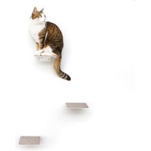 Bild für LucyBalu Katzen-Kletterwand Katzentreppe