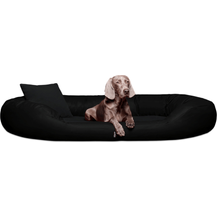 Bild für Sammy VIP Orthopädisches Hundebett