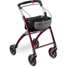 Bild für Wohnungsrollator »Premium«