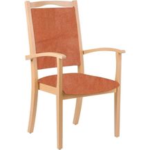 Bild für einrichtungsdesign24 Armlehnstuhl Massivholz Seniorenstuhl Alexander Hochlehner Armlehnenstuhl Esszimmer