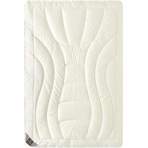 Bild für SEI Design Naturfaserbettdecke Schurwolldecke