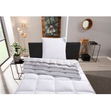 Bild für Otto Keller Daunenbettdecke STARLIGHT für jede Saison die richtige Bettdecke! Frühling bis Winter