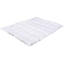 Bild für Träumeland 'Daunentraum' Ganzjahresdecke 100x135 cm