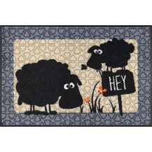 Bild für wash+dry by Kleen-Tex Fußmatte Gertrud & Elsbeth