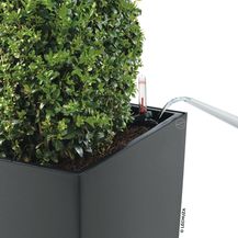 Bild für LECHUZA Pflanzgefäß Cubico 30 ALL-IN-ONE Kohlegrau 18184 421488