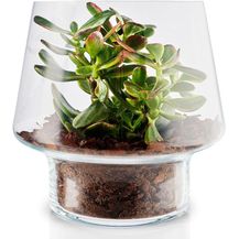 Bild für Eva Solo Sukkulenten-Glasvase
