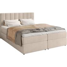 Bild für BroMARKT Boxspringbett DENVER