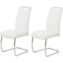 Bild für 2er Set Schwingstuhl Flora