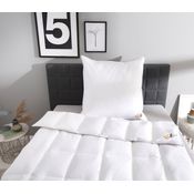 OBB Daunenbettdecke Edition 120 Jahre, Bettdecken für Sommer und Winter, Ganzjahresdecke, Füllung: 90%Daunen, 10% Federn, Bezug: 100% Baumwolle, Bettdecke 135x200 cm, 155x220 cm & weitere Größen, Made in Germany