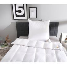 Bild für OBB Daunenbettdecke Edition 120 Jahre