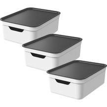 Bild für Rotho Jive 3er-Set Aufbewahrungsbox 10l mit Deckel