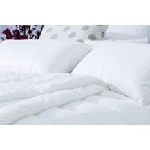 Bild für Centa-Star extra 1388.00 Aqua Aktiv Winterbett (Duobett)