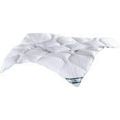 f.a.n. Kansas – Steppbett aus 100% Microfaser, kochfest und trocknergeeignet, auch für Allergiker, Ausführung: Steppbett, Größe: 240 x 220 cm