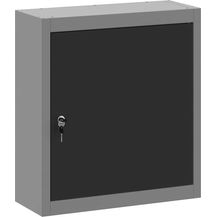 Bild für vidaXL Werkzeugschrank mit Regal Schwarz und Grau 50 x 20 x 55 cm 4103469