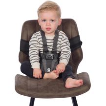 Bild für Dooky Traveler Chair harness