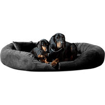 Bild für SAMMY SOFT Orthopädisches Hundebett