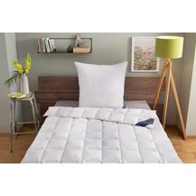 Bild für Excellent Daunenbettdecke Wien, Bettdecken für Sommer und Winter, Decke, Füllung: 90% Daunen, 10% Federn, Bezug: 100% Baumwolle, Bettdecke 135x200 cm, made in Germany, allergiker geeignet (Hausstaub)