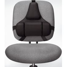 Bild für Fellowes Professional Series Profi Rückenstütze