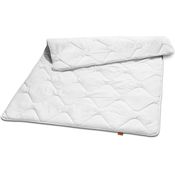 sleepling Microfaserbettdecke Basic 100, Füllung: 100% Polyester, Bezug: 100% Polyester, in 135x200 cm, 155x220 cm und Weitere, Allergiker geeignet, Made in EU